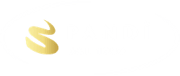 Pandi Logo