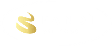 Pandi Logo